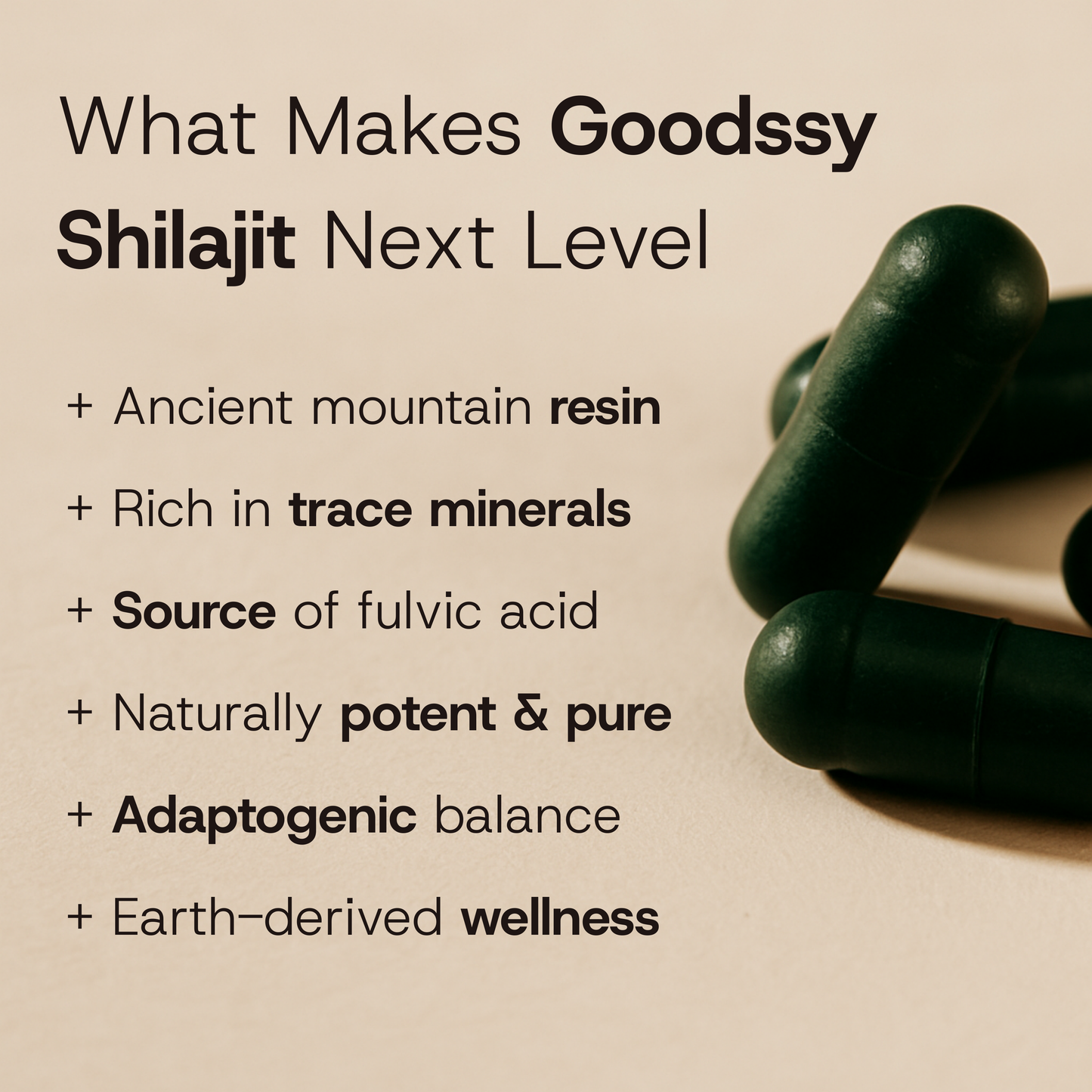 Shilajit Resin