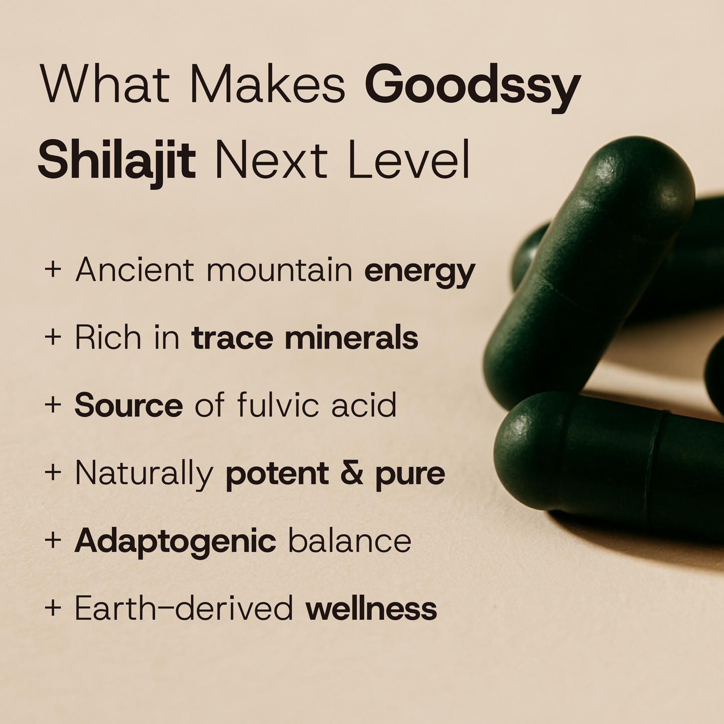 Shilajit Capsules